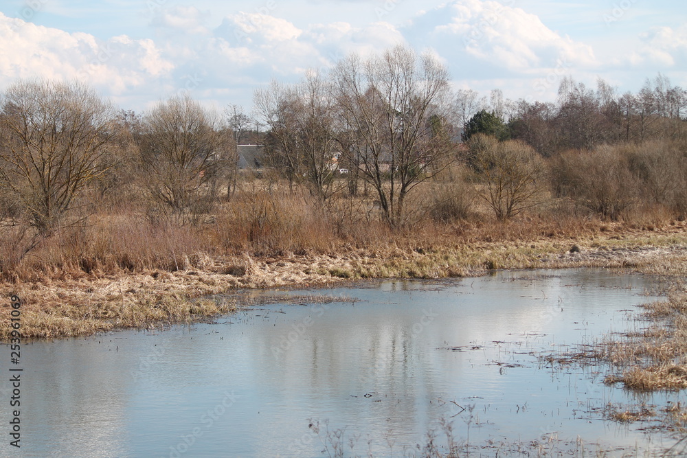 landscape with river and trees in spring landscape with river and trees in spring