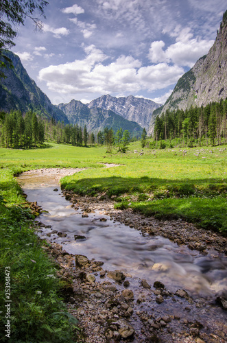 alpine dream view
