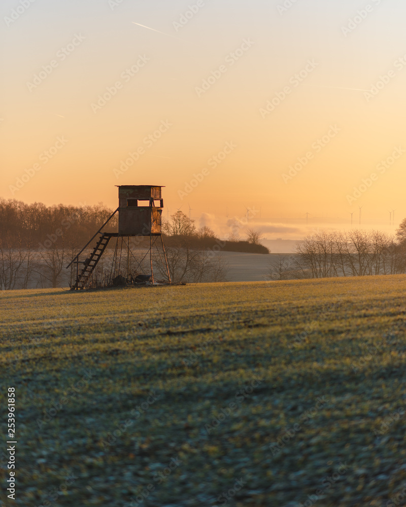 Fototapeta premium Perch in morning light