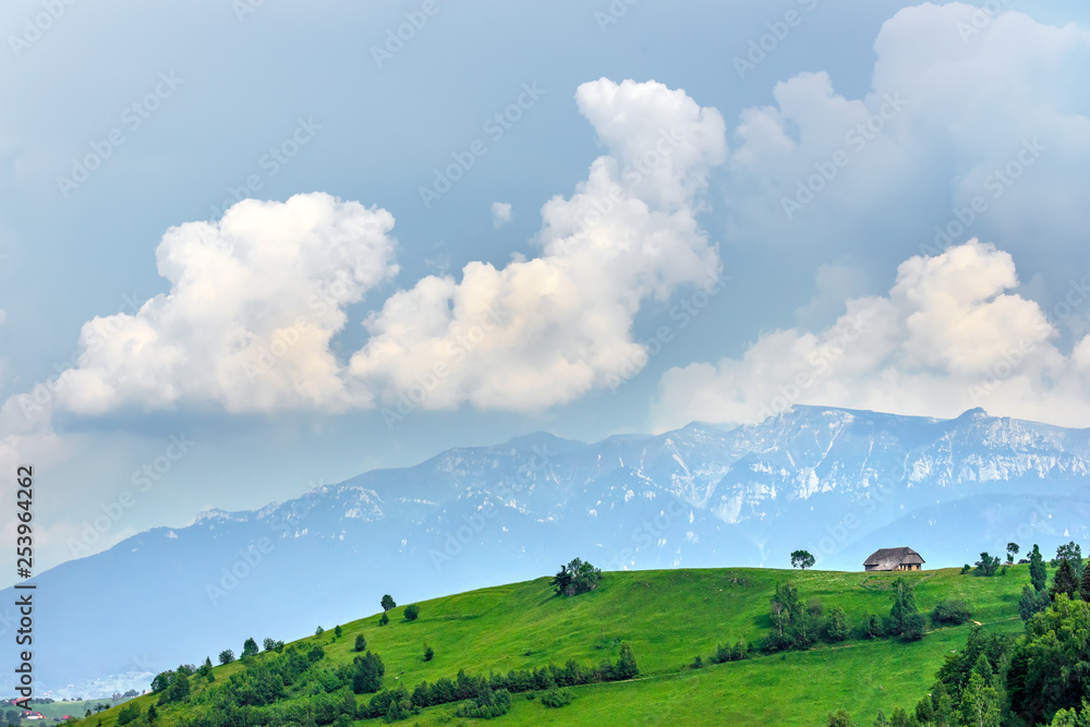 Panoramic view of a spring landscape in the mountains, with a sheepfold house on the peaks, scatered trees and Bucegi mountains in the background. Natural alpine rural scenery.