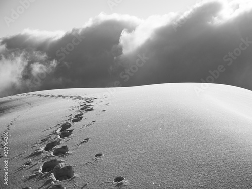 Footprints on the snow photo