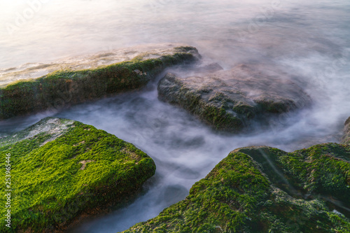 Colorful sea shore with green algae with long exposure water at sunset time