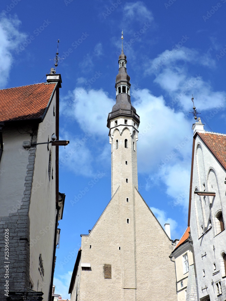 Fototapeta premium View of old town in Tallinn