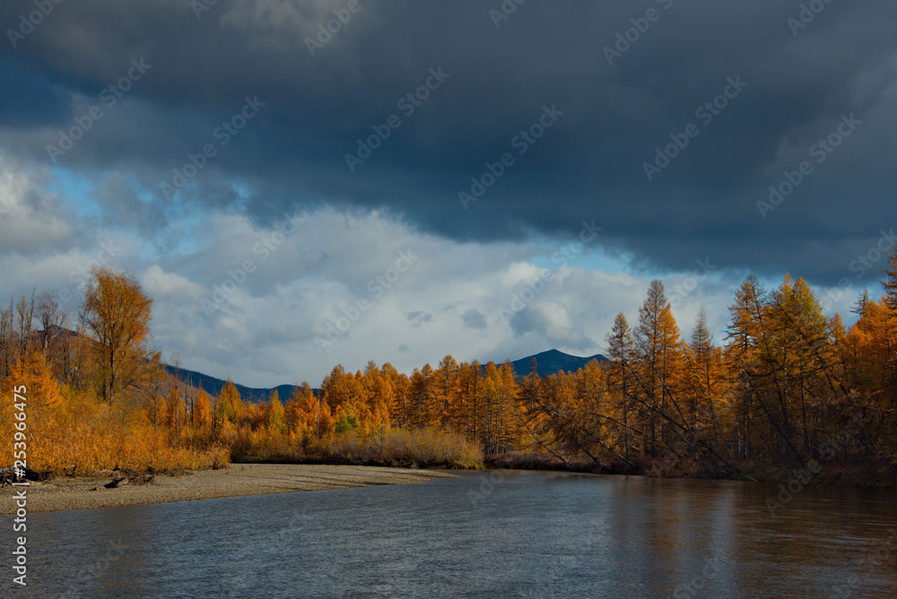 Fototapeta premium Russia. far East. The colours of autumn are cold-water rivers of Magadan.