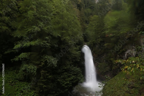 Palovit Waterfall with in the green forest, Rize, Turkey 
