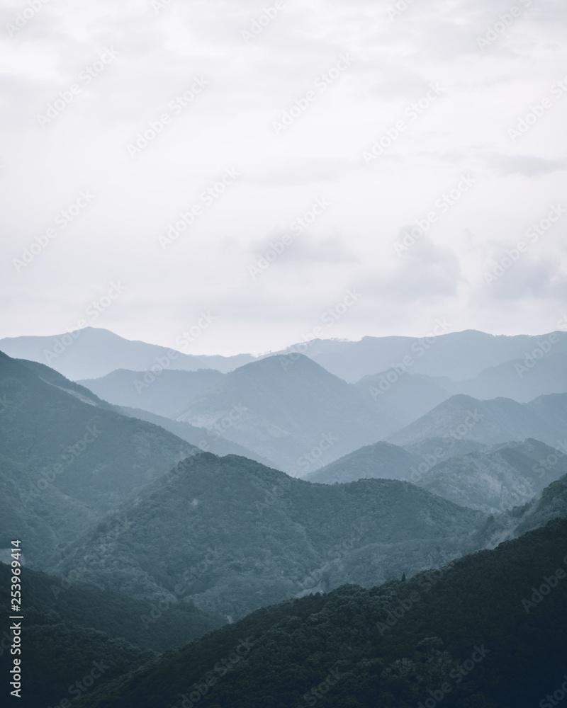 Fototapeta premium OLYMPUS DIGITAL CAMERA