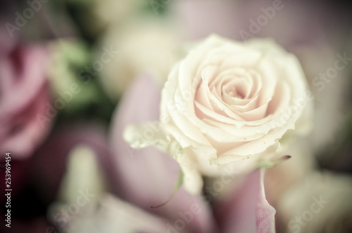 Beautiful pink roses in soft spring flower bouquet