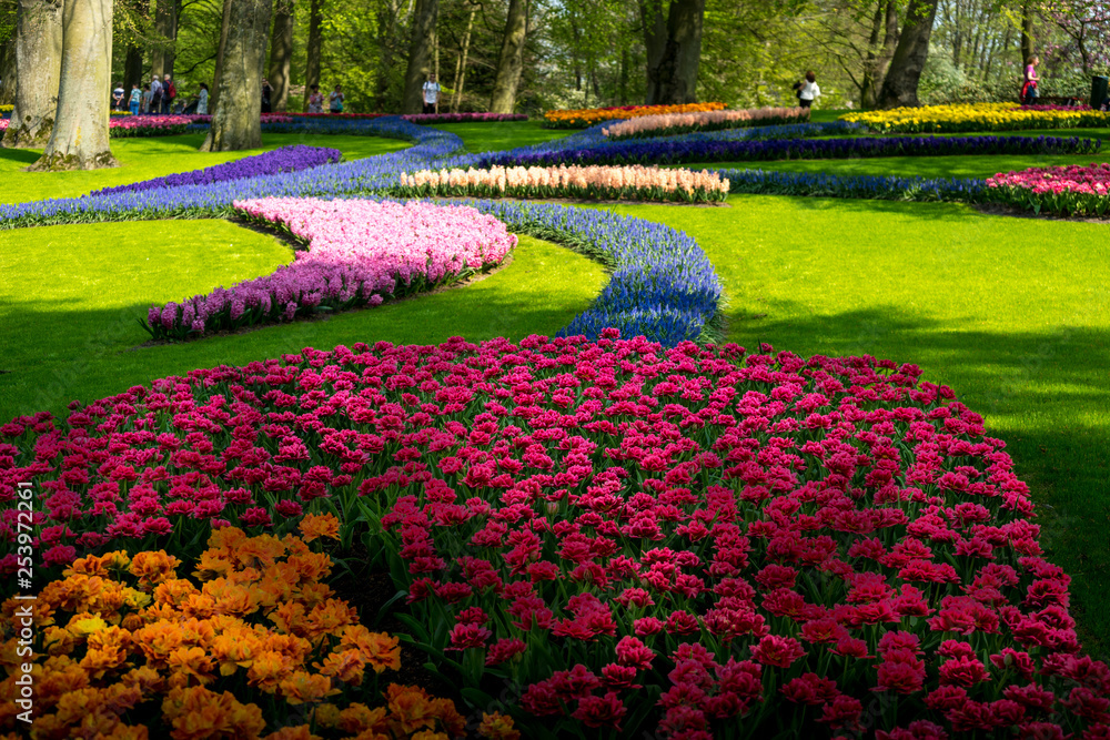 Netherlands,Lisse, a colorful flower garden in a park
