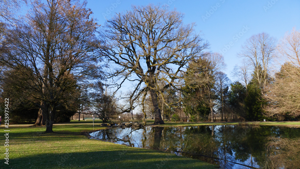 öffentlicher Park von Schloss Favorit, am See in Förch mit hohen Bäumen öffentlicher Park von Schloss Favorit, am See in Förch mit hohen Bäumen
