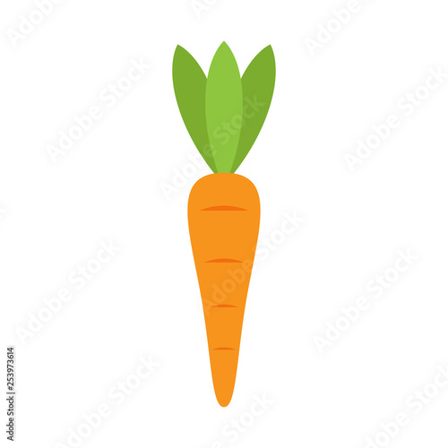 Carrot vector icon