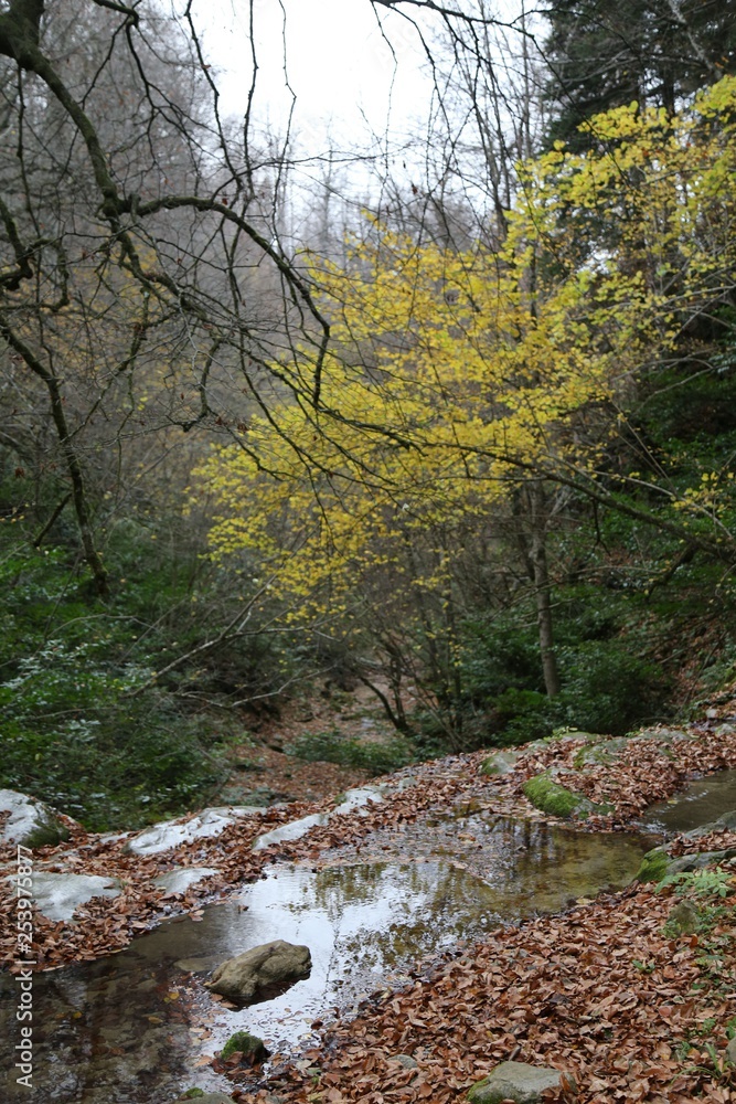 Tatlica waterfalls, Erfelek, Sinop, Turkey Tatlica waterfalls, Erfelek, Sinop, Turkey