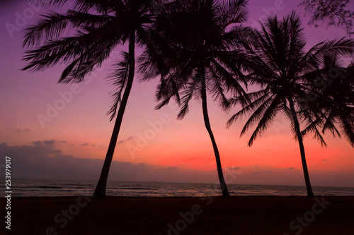 Sunset At Miami