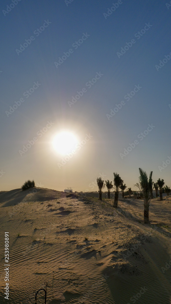 Dubai Desert