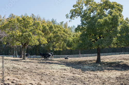 牛　名古屋　農業センター