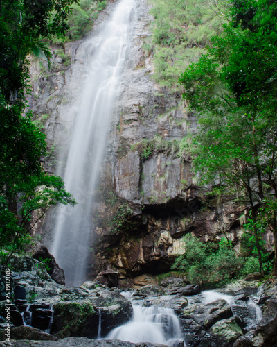 green tree waterfall