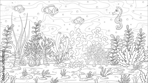 Coloring book underwater landscape. Hand draw vector illustration with separate layers.