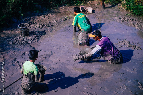 Aor Setar, Kedah, Malaysia, March 9 2019 : Village people catch a fish in the mud after the harvest season of paddy field