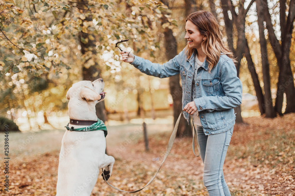 Fototapeta premium Happy woman training dog labrador in the park.