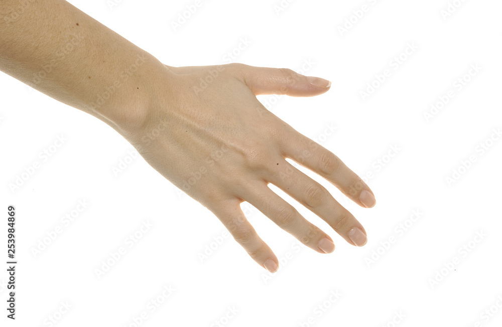 image on white background of different positions of a hand	