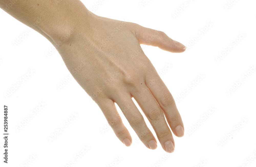 image on white background of different positions of a hand image on white background of different positions of a hand