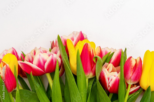 Spring flowers. Bouquet of Red and Orange tulips on light background. Mother's Day and Valentines Day background
