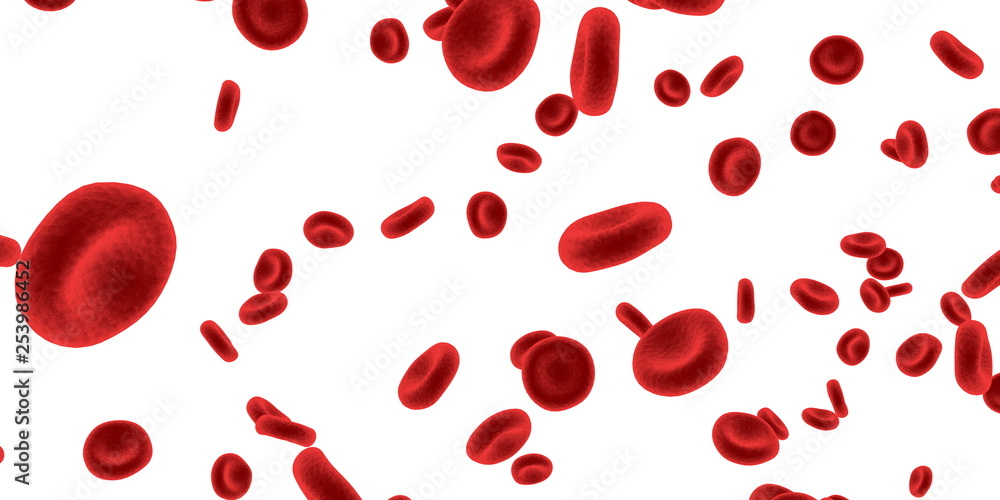 Red Blood Cells Red Blood Cells