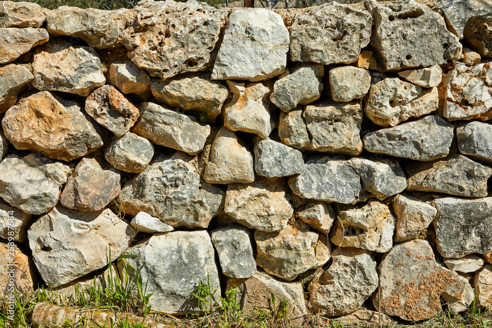 Forest of Sataf west of Jerusalem. Stone wall background texture.