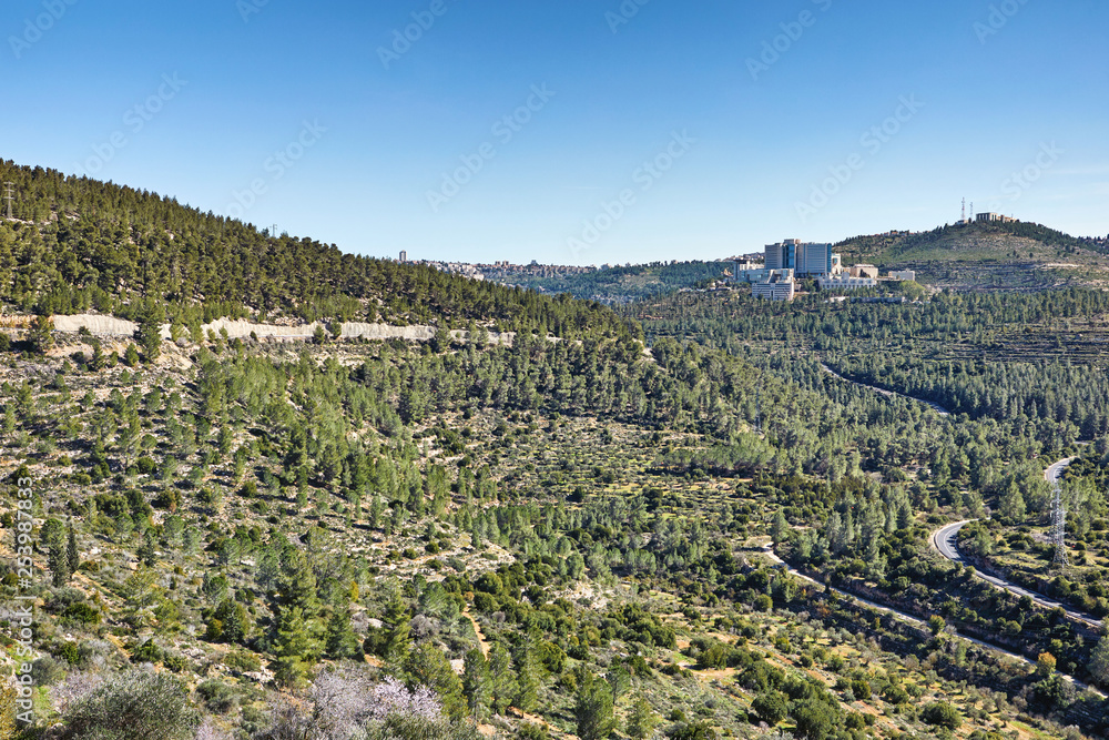 Forest of Sataf west of Jerusalem Israel. A beautiful area of hiking and enjoying the nature. 