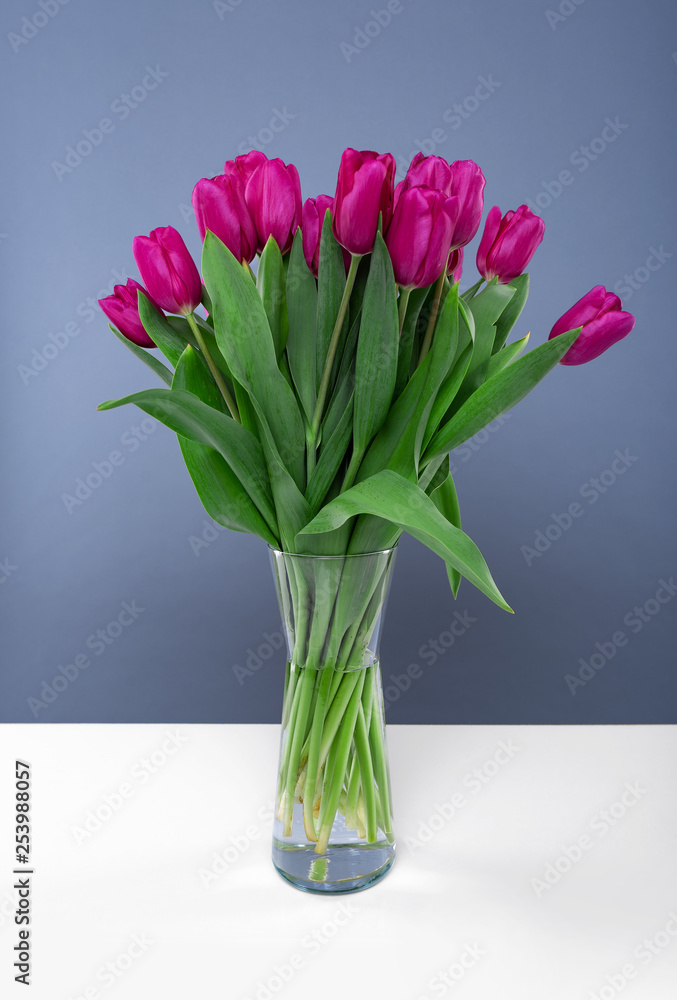 Bouquet of pink tulips on a blue background. Bouquet of pink tulips on a blue background.