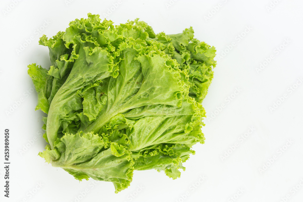 Lettuce isolated on white background. Popular vegetable Salad leaf. Lettuce isolated on white background. Popular vegetable Salad leaf.