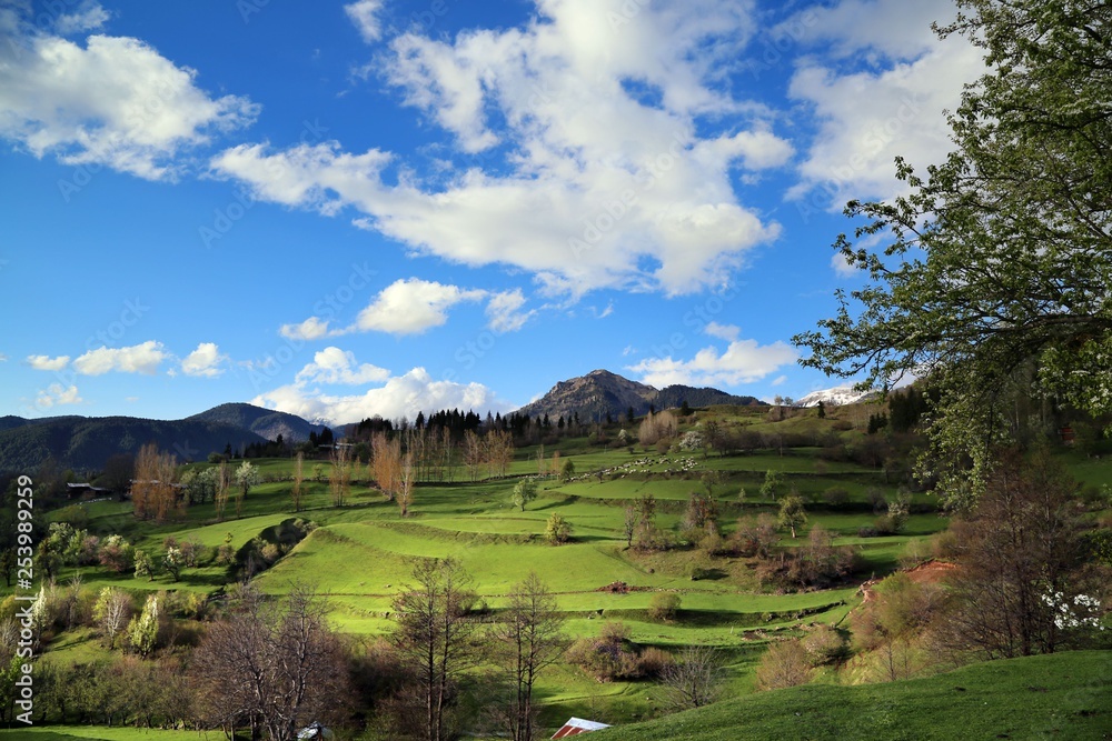 landscape village nature artvin savsat