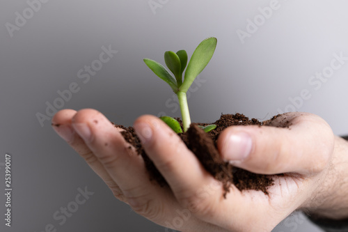 ecology plant