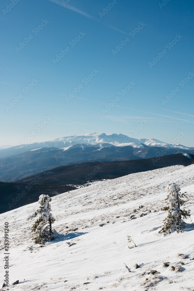 Fototapeta premium winter in the mountains