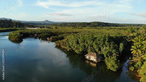 Vue aérienne de la Rivière Abatan, Bohol, Philippines