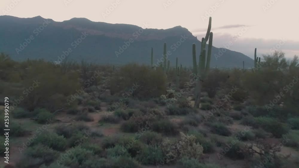 Lush Sonoran Desert and Mountains with Scary Feel Lush Sonoran Desert and Mountains with Scary Feel