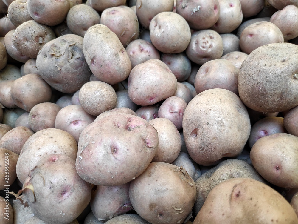 pile of potatoes in vegetable market india pile of potatoes in vegetable market india