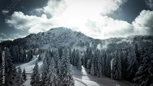 beautiful winter mountain landscape