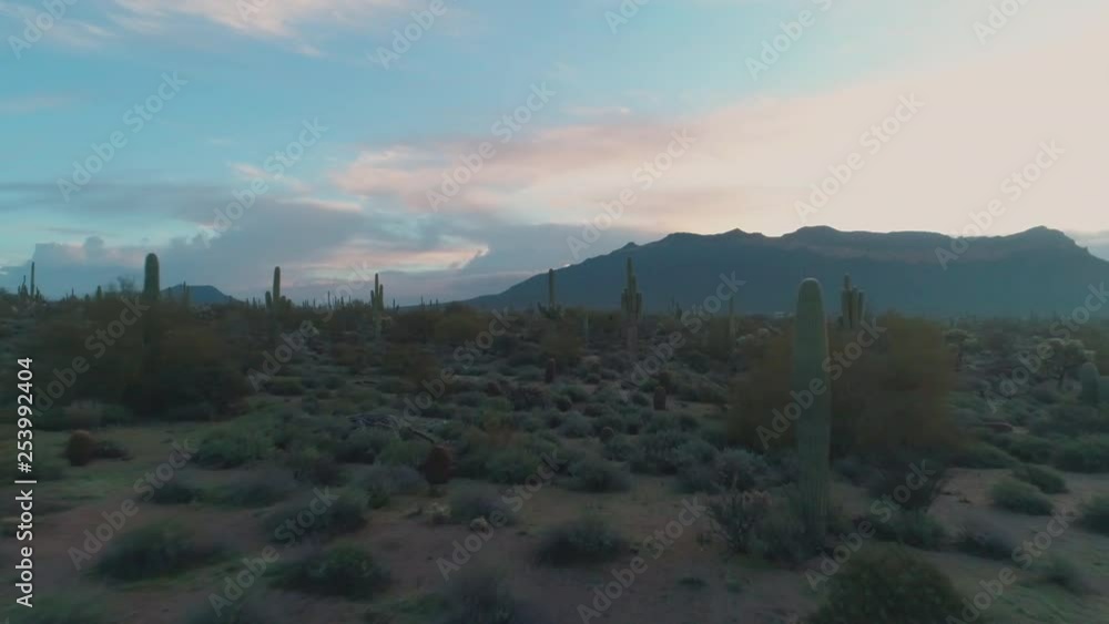 Lush Sonoran Desert and Mountains with Cacti at Sunrise Travel Through Lush Sonoran Desert and Mountains with Cacti at Sunrise Travel Through