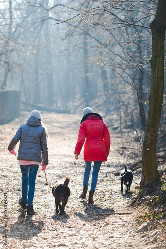 Back view of two teen girls walking with a dogs - Cold morning t