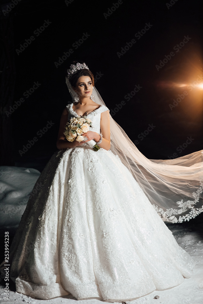 Fototapeta premium Beautiful bride 