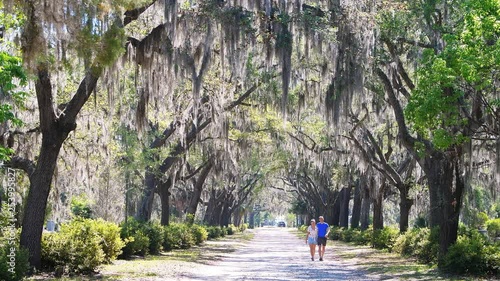 Street road landscape with oak trees path in Savannah, Georgia famous Bonaventure cemetery with spanish moss and young happy romantic couple walking photo