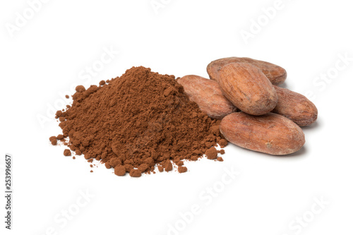 Heap of whole cocoa beans and cocoa powder