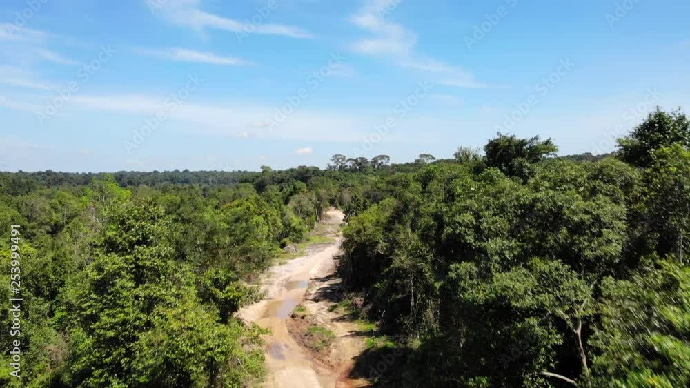 Aerial Ascending View Through Jungle Above Dirt Road. Aerial Ascending View Through Jungle Above Dirt Road.