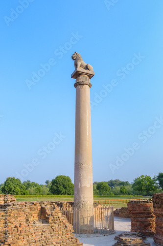 Asokan pillar at Kutagarasala Vihara, Vaishali, Bihar, India photo