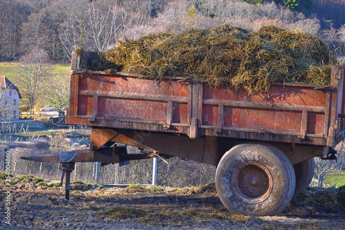 Fotografía charette, chariot de foin, tas de fumier dans une remorque rouge, bouse de vache