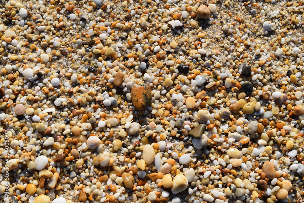 Beach Pebbles