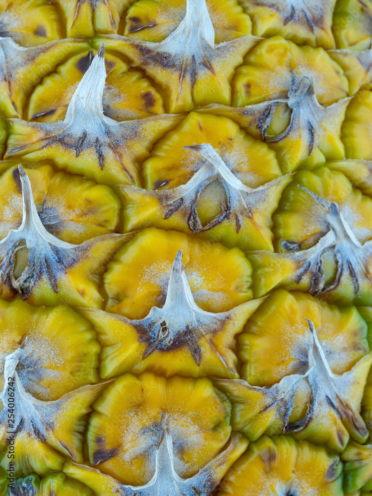 Pineapple closeup in yellow and light green tones. Pineapple closeup in yellow and light green tones.