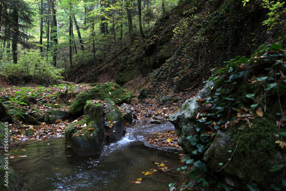 Stream in a mountain gorge in the autumn forest. Stream in a mountain gorge in the autumn forest.