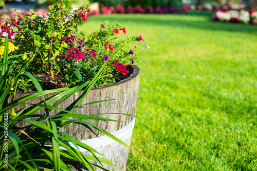 Beautiful planter filled with flowers