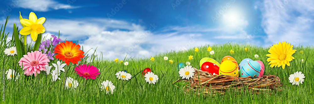 colorful easter eggs flower on green grass panorama meadow in front of blue sky